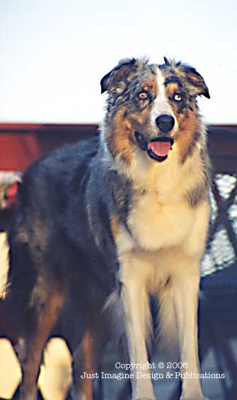 Dakota