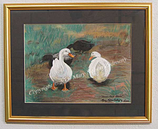 Carson Pond Ducks