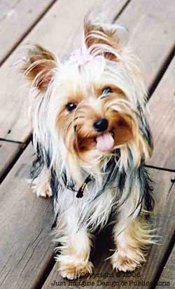 Zoe